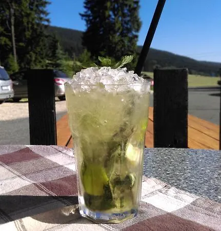 Andromeda Hotel Ostružná