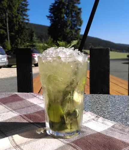 Andromeda Hotel Ostružná